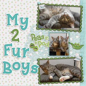 Fur Boys