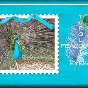 ATC 2019-100 Turquoise