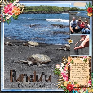 Black Sand Beach