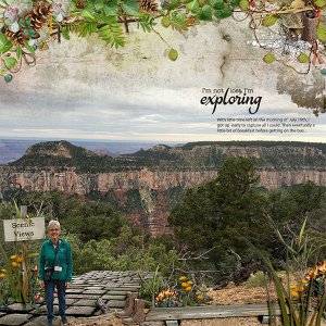 North Rim- Grand Canyon 2