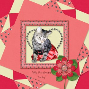 Tabby the "Love Bug"...or watermelon?