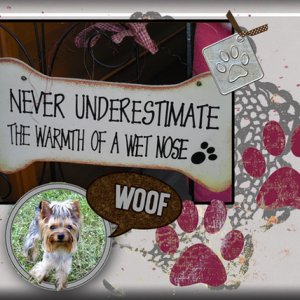 "Wet Nose"