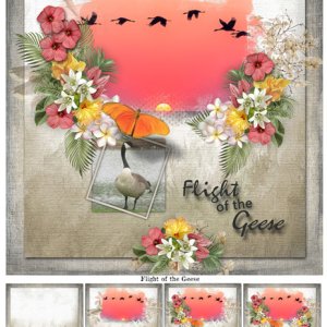 Flight of the Geese