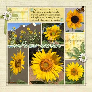 Sunflowers - pocket scrap chall Aug 2019