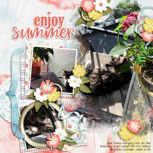 Summer Kitty