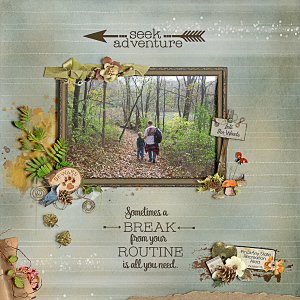 Into the Woods