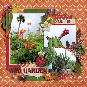 Arid Garden