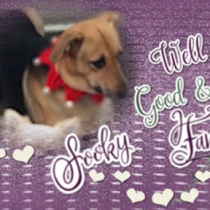 GS-(08)2019_FBheaderChallMAGSbyFC