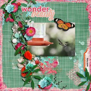 Wonder + Beauty