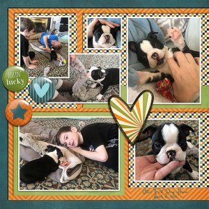 Gotcha Day 2