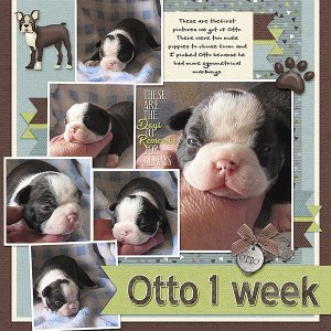 Otto 1 Week