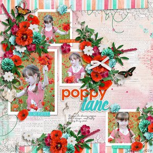 poppy lane