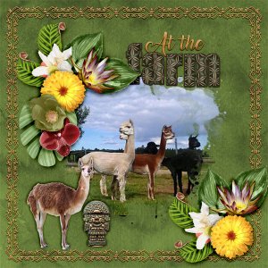 600-adbdesigns-into-wild-pia-01
