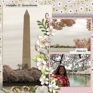 Cherry Blossoms