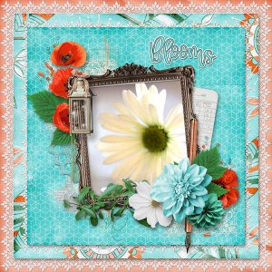 Blooms