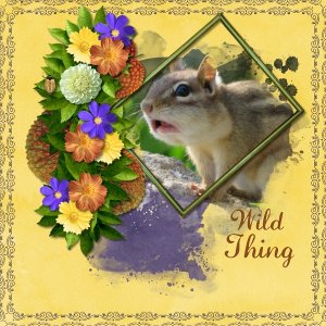 Wild Thing
