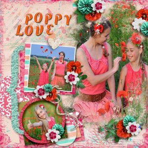 Poppy Lane