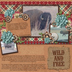Miss Fish Retirement-Story Time 2 Jocee- Wonderful Wild West