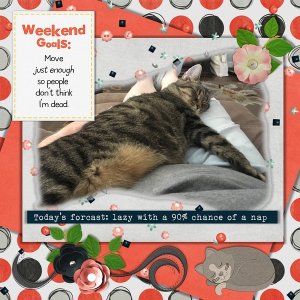 August 2019 Inspiration Challenge