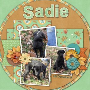 Sadie