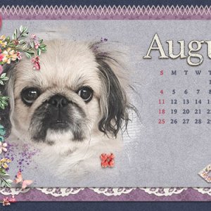 August Desktop