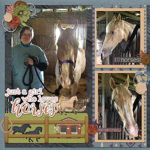Just a Girl Who Loves Horses