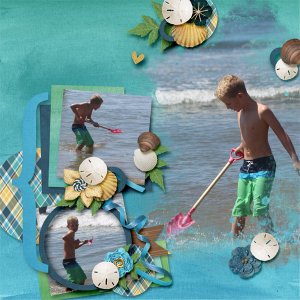Searching the Beach