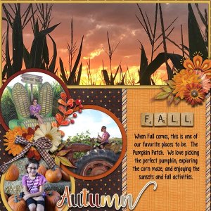 Pumpkin Patch