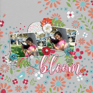 bloom