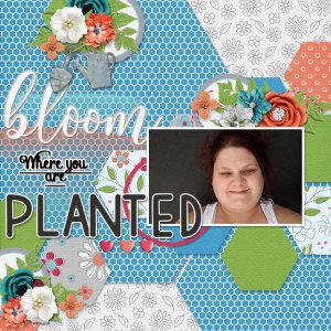 Bloom