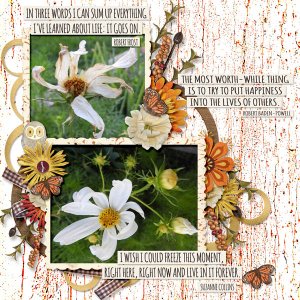 flower_small_2019_Sept