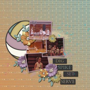 Dandelion Dust Design-Dig It