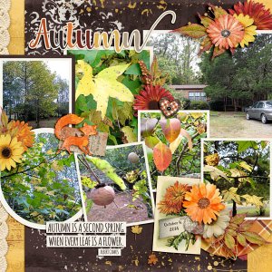 Autumn