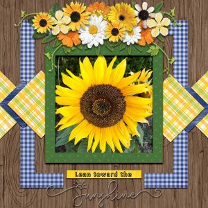 sunflower mm