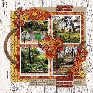 Last of Fall