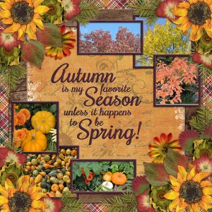 Autumn is my favorite Season unless it happens to be Spring!