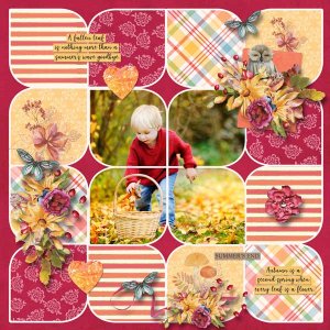 Seasons: Summer into Fall