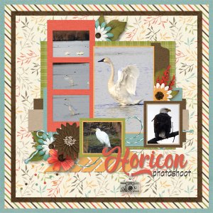 Horicon Photoshoot