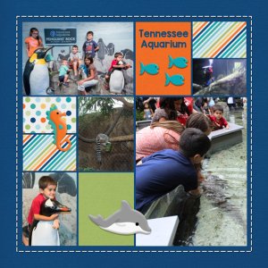 TN Aquarium