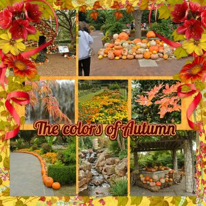 The colors of Autumn