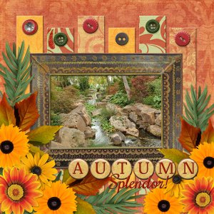 AUTUMN Splendor