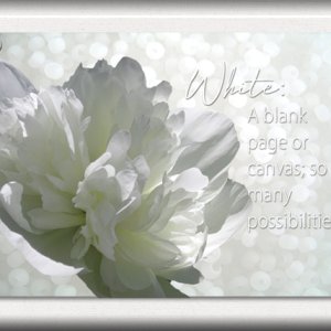 ATC 2019-107 White