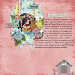 Dodger