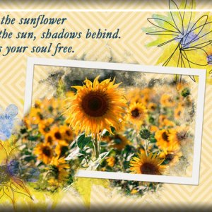 ATC 2019-109 Like the Sunflower