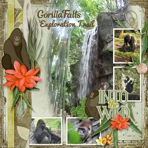 Gorilla Falls