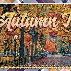 FallFB