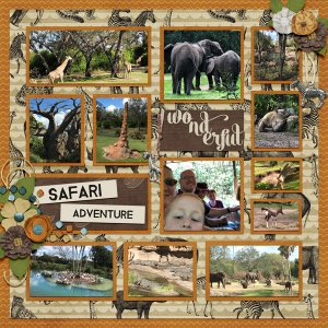 2018 02 Safari