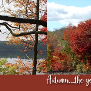 Autumn!