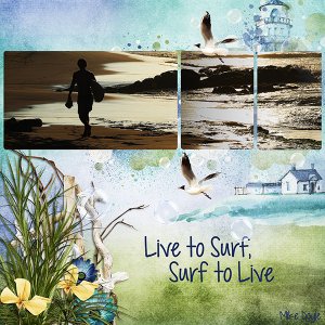 Surf