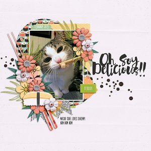 oh soy delicious